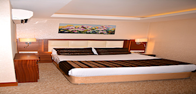 Asrın Business Hotel Genel 2